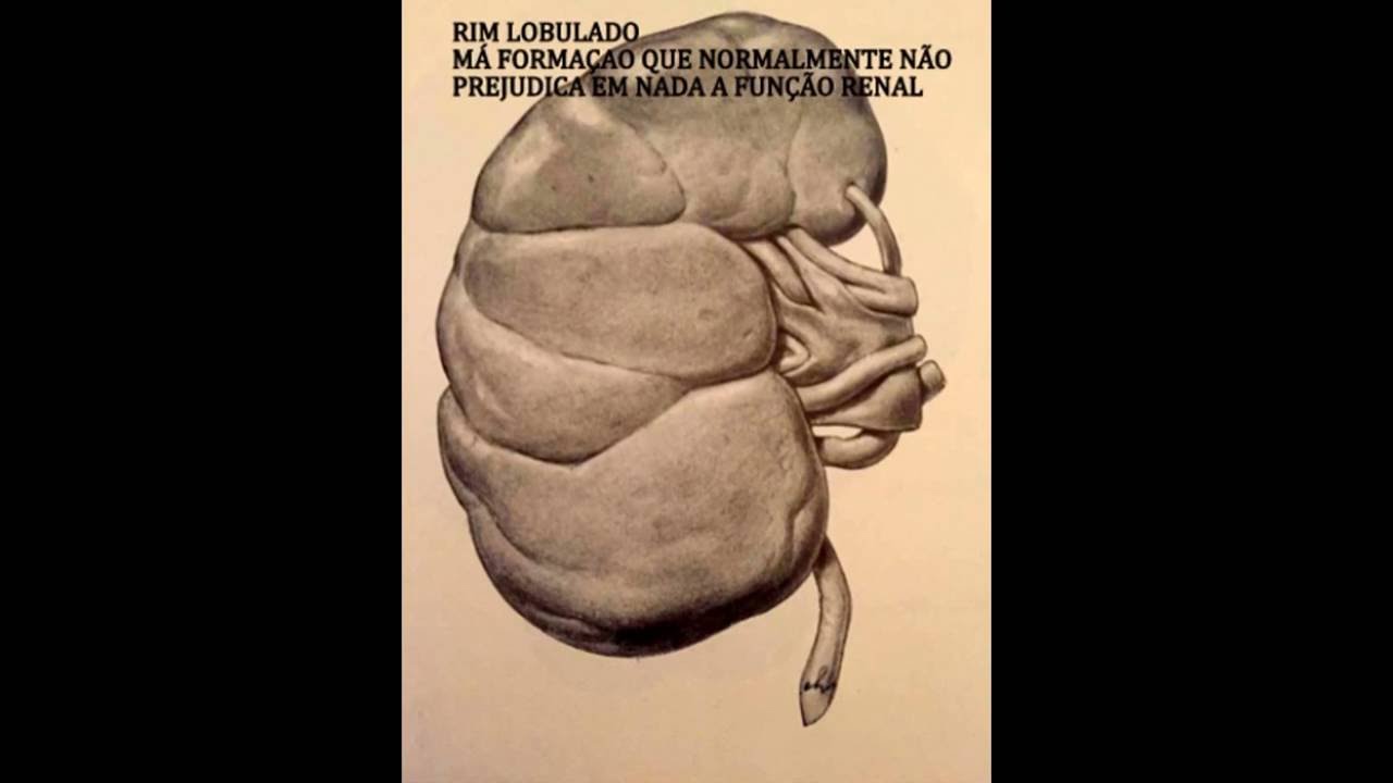 Maria Lúcia Motta Ribeiro-5