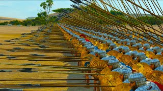 Rome Cavalry VS Egypt Pikeman | Total war Rome 2