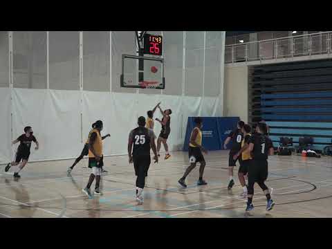 Flipside(39) vs Panthers(34) - Sunday tier 2 - tcbl 2021 summer