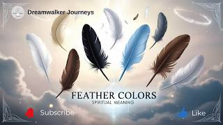 Spiritual Meaning of Feather Colors | What Each Color Is Trying to Tell You
