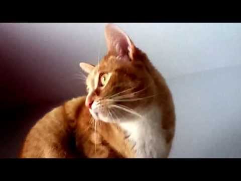 All he does is win win win no matter what