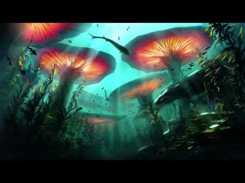 E-Clip - Live & Dj Set - Treebal Spacehall 2018 ᴴᴰ