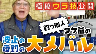 波止の夜釣の大メバル