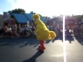 BIG BIRD LMAO