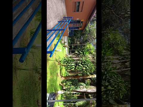 Parte 3 - Cascata das Antas Poços de Caldas Minas Gerais #minasgerais #turismo #viagem #cachoeira