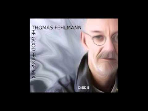 Thomas Fehlmann - the good fridge mix part II