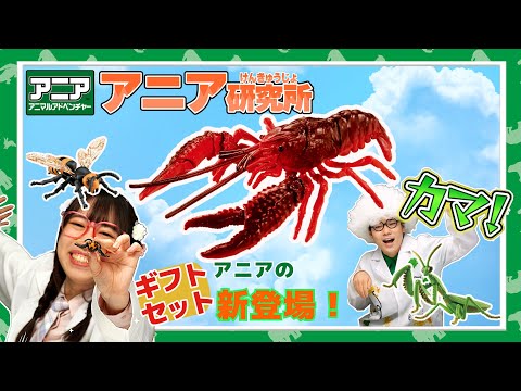 【アニア研究所】#9「サバンナ!海!大自然⁉　３つのあらたなギフトセットが新登場!」【タカラトミー公式】