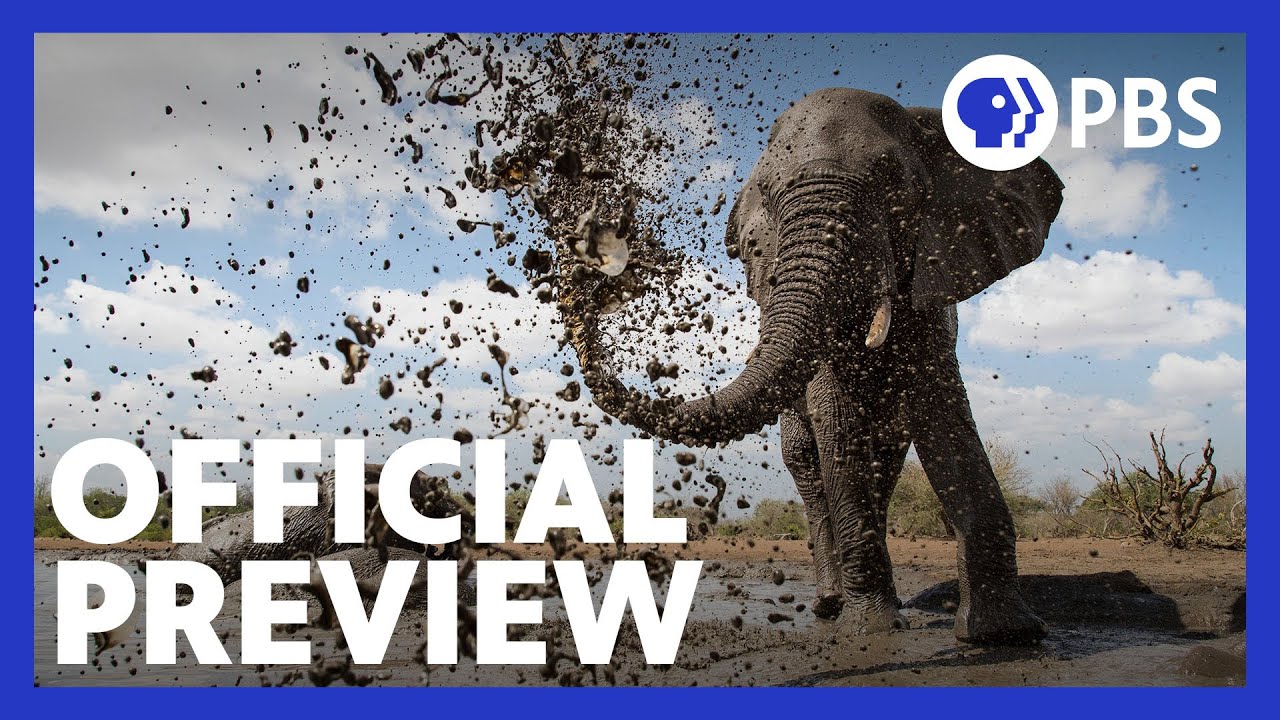 Life at the Waterhole | Official Preview | PBS