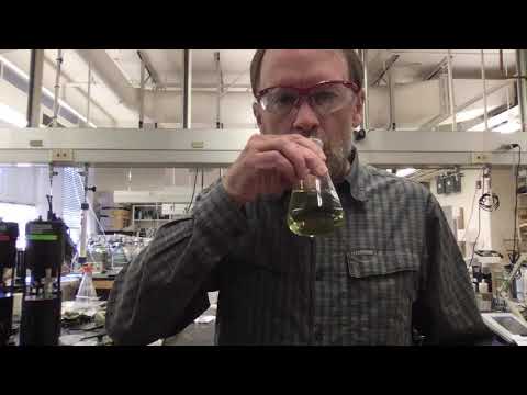 Chemistry with Dr. Mike DeGrandpre