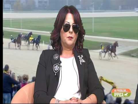 490°NO PROBLEM...IPPICA 3/11/2016