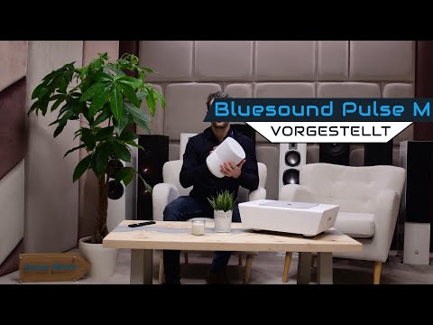 Bluesound PULSE M - 360 Grad Streaming Lautsprecher mit Omni-Hybrid™-Design
