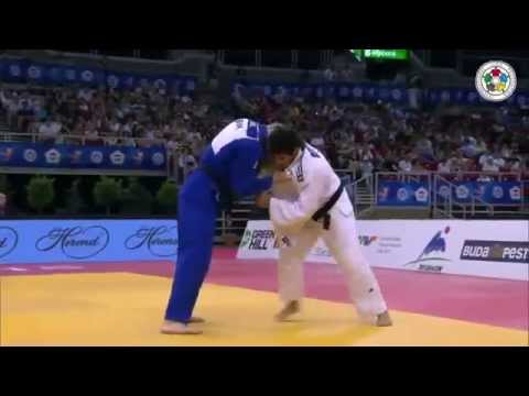 Judo. Grand Prix Budapest 2015. Day 2. Finals. It is not highlights, but just marginalia...