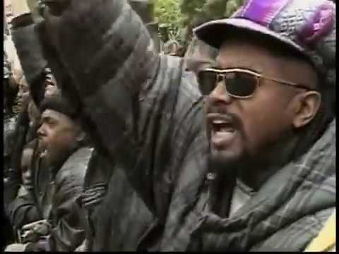 Powerful Segment from Liquid Crystal Vision