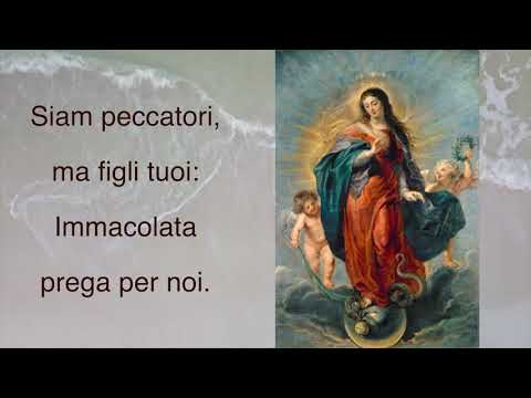 Immacolata Vergine Bella con Testo