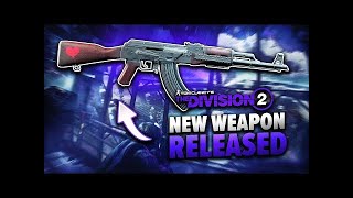 Division 2 Why does no one use this weapon? AK M