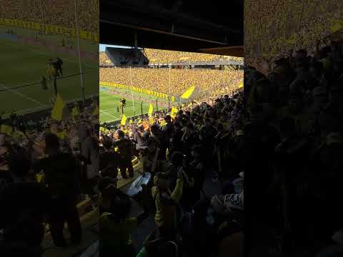 "EN LAS MALAS MÁS" Barra: Barra Amsterdam &bull; Club: Peñarol