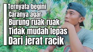 Download lagu Cara agar ruak ruak tidak mudah lolos atau lepas dari jerat racik gantung || BIRD TRAP mp3 Download lagu Cara agar ruak ruak tidak mudah lolos atau lepas dari jerat racik gantung || BIRD TRAP mp3