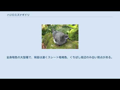 IUCN分類における絶滅の危険性を示す図。