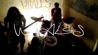 Dinohorse (The Whales) - Tree Of Time - Live In Yellow Room