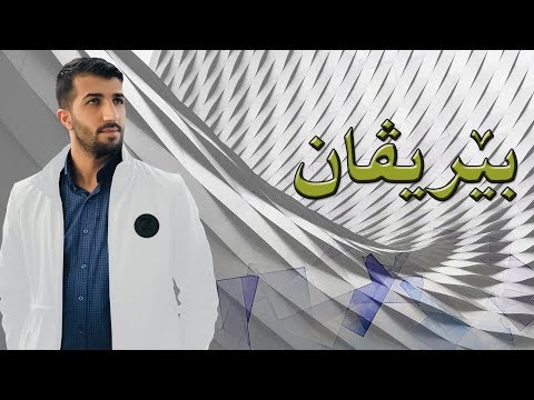 Aryan iDris - Berivan (Official Music)