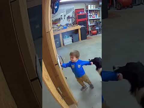 Heartwarming Dog Moments That Melt Your Soul 🐶❤️7#dog #funny #pets #baby #love #live #family