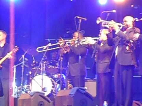 Thumbnail for The JB's Orginal James Band - Concert - Trélazé (2) by James (band)
