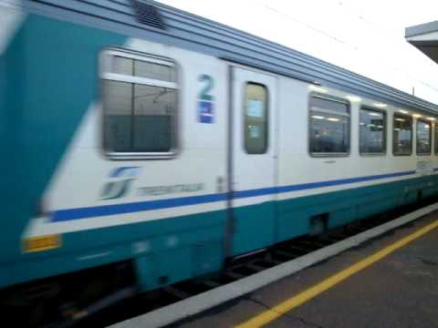 ICplus 539 Donatello