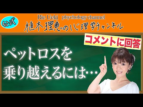 犬が他人の死を乗り越えるのを助ける方法