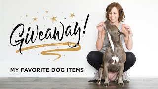 November Giveaway! My Favorite Items For Dog Owners