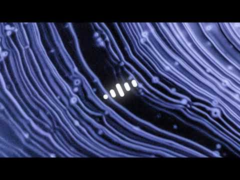 Paul SG - You'll Never Know (ft. Conrad)