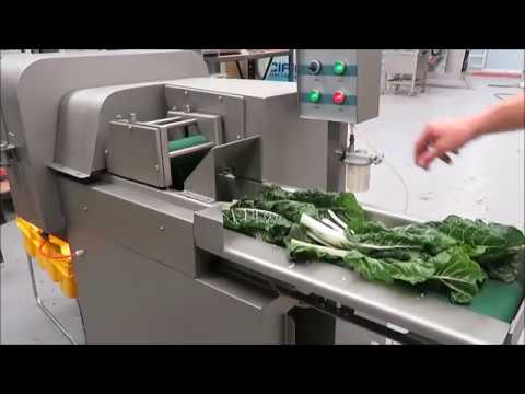 PACIFIC VC150 Hi Speed Vegetable &amp; Herb Cutter video thumbnail