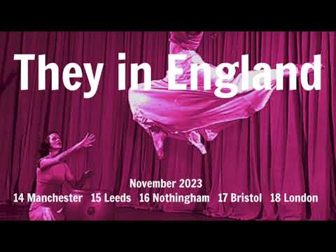 Videoclip de Leeds (In Situ) — They Might Be Giants