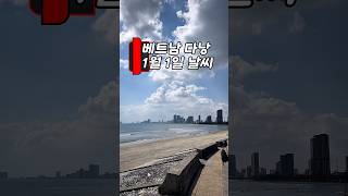 여행을 부르는 새해의 날씨 #다낭 #날씨