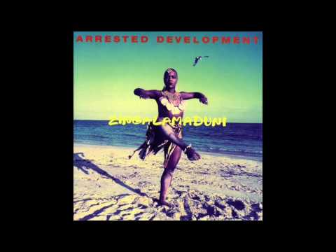 Arrested Development ‎– United Minds - Zingalamaduni