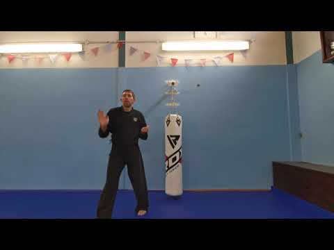 Online Karate Class #3 - Call The Calvary