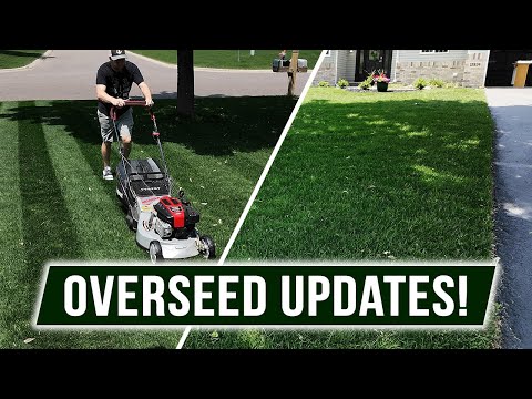 NightShift Dark Legend Overseed Updates