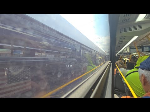 S79 Bus Time
