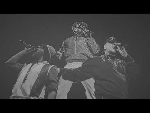 Sido x Kool Savas x Samy Deluxe - Live [fan made]