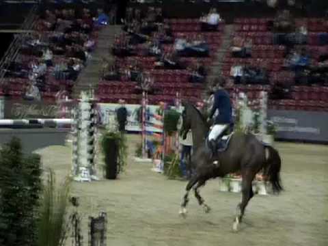 ♥ Tarpan- jumping horse  by Oklund