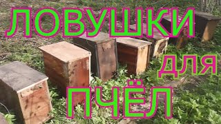 Ловля диких роев в ловушки из двп