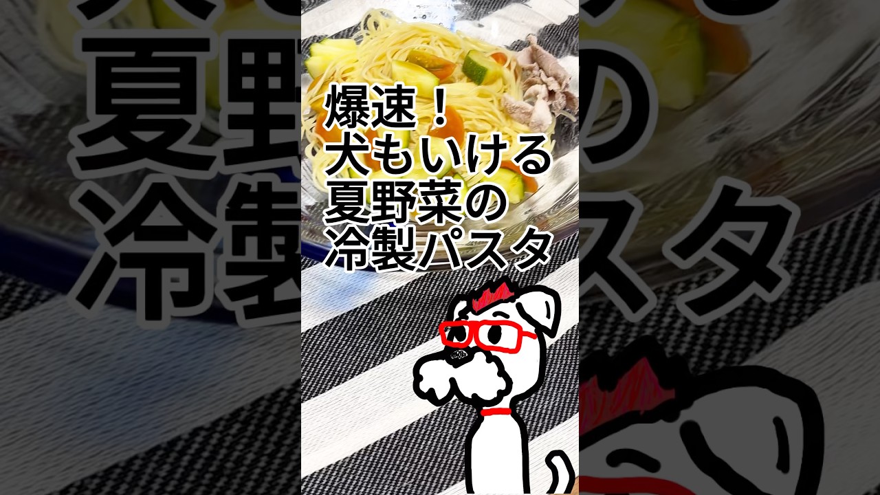 ドッグフード 夏野菜の冷製パスタ