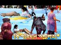 Waterslides At Suntago Water Park কি পরিমান অশ্লীলতা Fantasy Kingdom