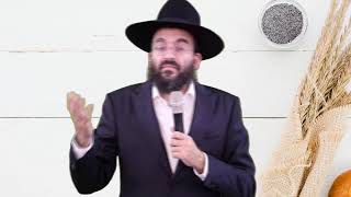 הרב נתנאל סנדרו בוחניק שליט"א - הכנה לחג השבועות (הרב נתנאל סנדרו בוחניק) - התמונה מוצגת ישירות מתוך אתר האינטרנט יוטיוב. זכויות היוצרים בתמונה שייכות ליוצרה. קישור קרדיט למקור התוכן נמצא בתוך דף הסרטון