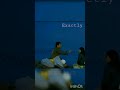 Take A Chance Irfankhan Shorts Youtubeshorts Reels Shortsindia Dialogue
