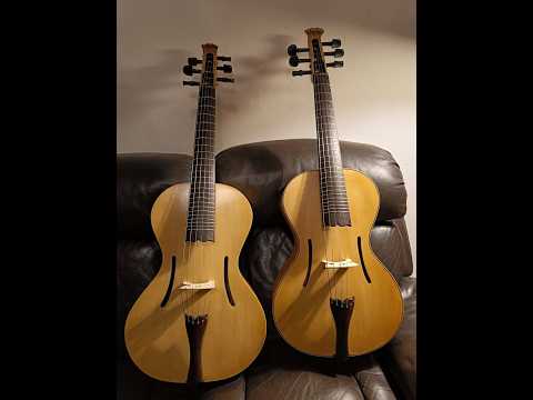 A.Loziakov Arpeggione Classica 2026 - Shellac image 14