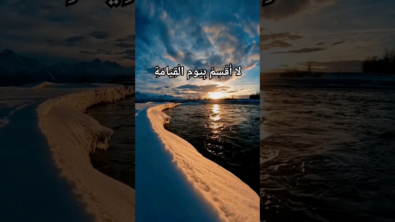 لا أ ق س م ب ي و م ال ق ي