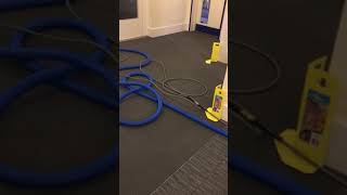 Album cover: Carpet cleaning.