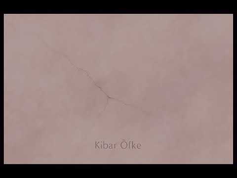 Ömer Güneş feat Hansbil - Kibar Öfke