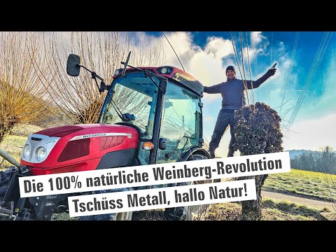 Die 100% natürliche Weinberg-Revolution! 🍇 |  Teil 1 | mit Herzblut zum Wein Vlog #385