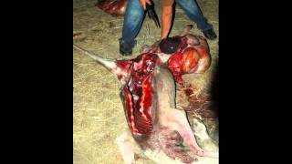 Mel and Desmond&#39;s Hunt 2010